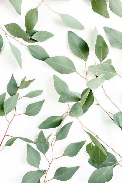 Background Texture made of green eucalyptus leaves, branch. Flat lay, top view - Foto, Imagem