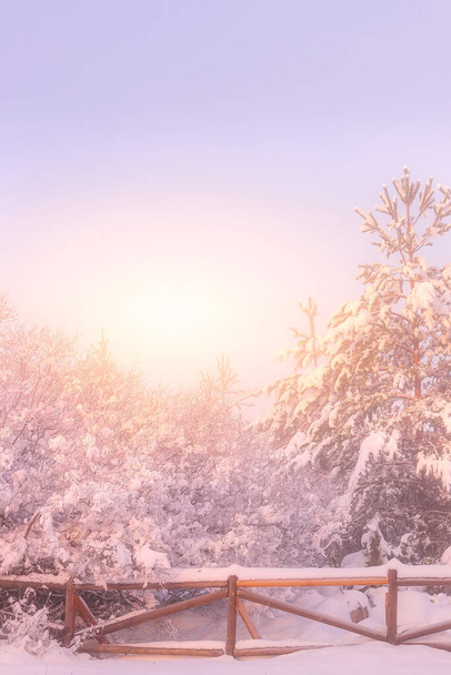Invierno niebla árboles de nieve y cerca, sol - Foto, Imagen