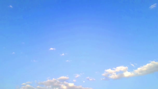 gruppo di uccelli e singolo uccello che vola nel cielo nuvoloso blu - Filmati, video
