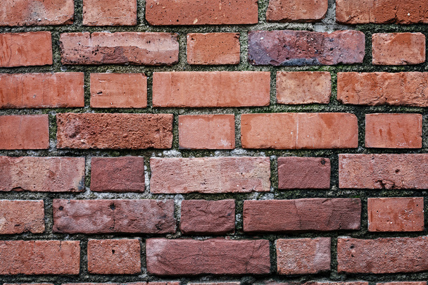 Brick wall as background - Фото, зображення