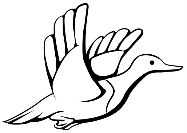 Duck flying cartoon line drawing, vector, horizontal, black and white, isolated - Вектор,изображение