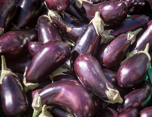 aubergines - Photo, image