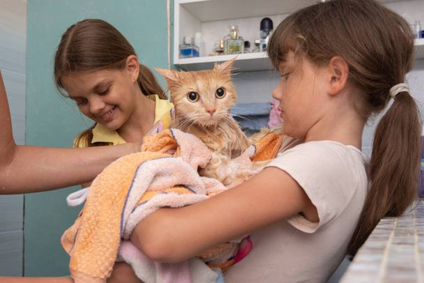 Mama i dzieci wycierają mokry kot domowy ręcznikiem - Zdjęcie, obraz