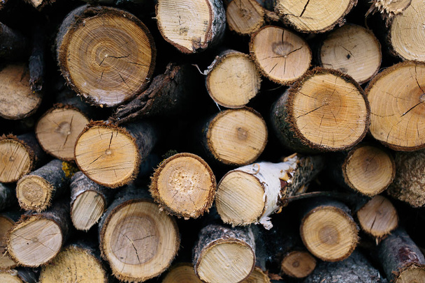 Closeup photo of many firewood evenly stacked against the wall. Dry wood logs. Beautiful texture. - Photo, Image