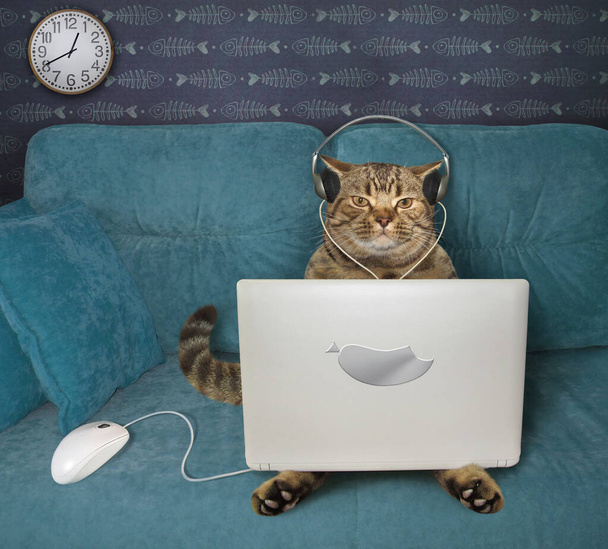 The beige cat in headphones is using a silver laptop on a blue sofa at home. A white computer mouse is next to him. - Fotoğraf, Görsel