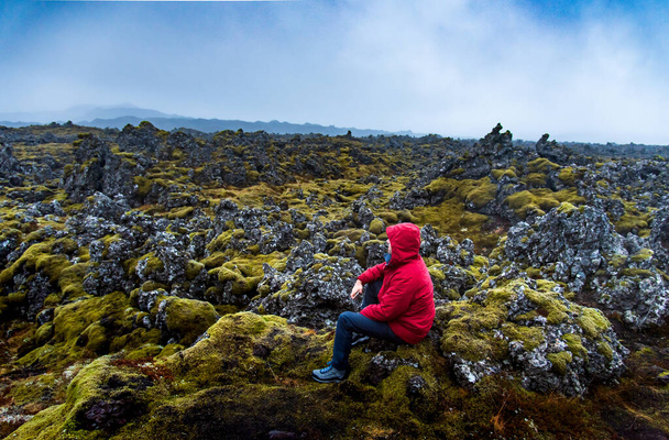 Solo male traveler on scenic lava field views in Iceland - Zdjęcie, obraz