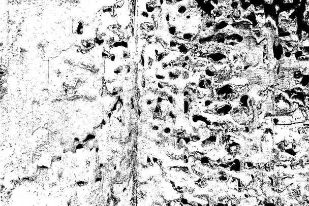 термитный рисунок в дереве - Фото, изображение