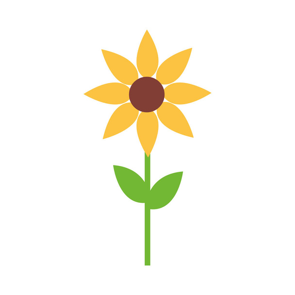 Isolated sunflower icon vector design - Vector, Image