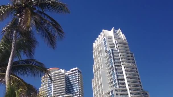 Hotel con Palme a Miami Beach, Stati Uniti d'America - Filmati, video