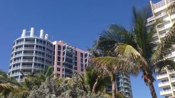 Palme e Hotel a Miami Beach, Stati Uniti d'America - Filmati, video