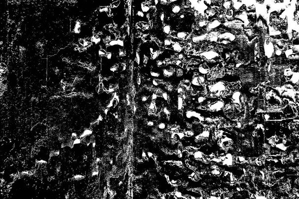 Termitenmuster in Holz - Foto, Bild