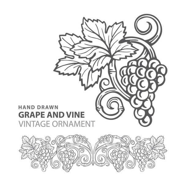 ブドウだ。手描きのブドウとブドウの彫刻スタイルのイラストを設定します。ブドウベクトルデザイン要素の束。ブドウとブドウのロゴと背景。ワインのテーマブドウとブドウのヴィンテージスタイルの装飾。集合の一部. - ベクター画像