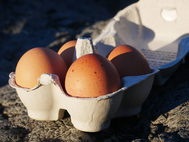 Коричневые яйца в упаковке
 - Фото, изображение