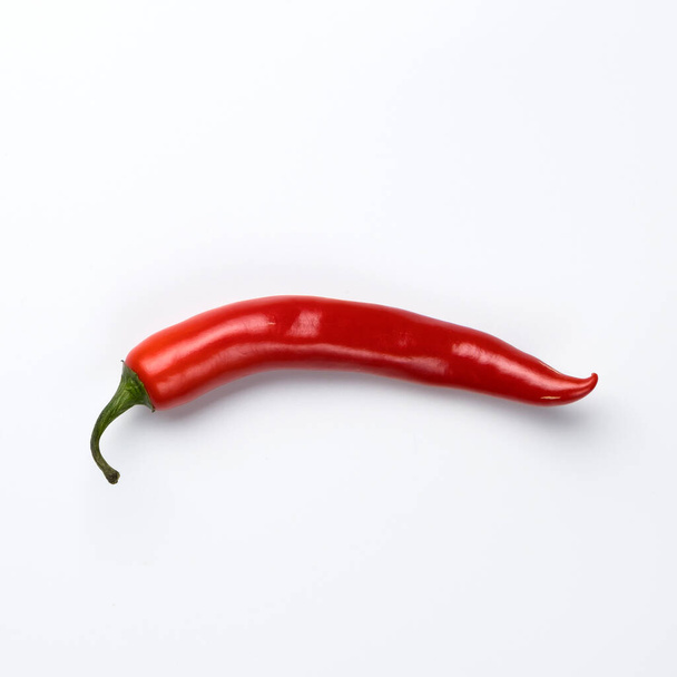 Rode chili peper geïsoleerd op witte achtergrond. - Foto, afbeelding