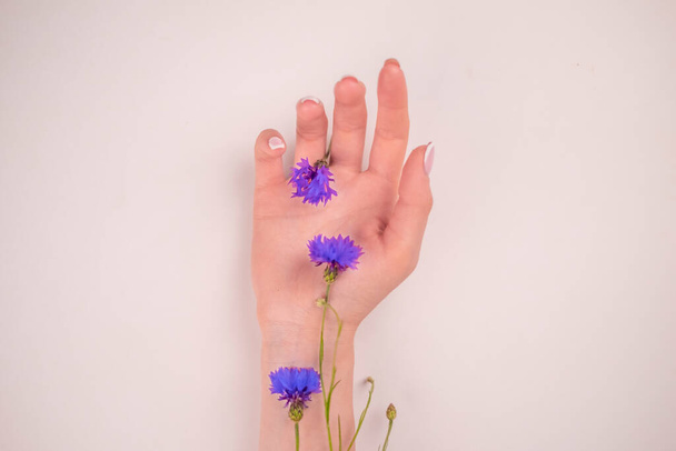 Photo de belles mains féminines aux fleurs bleues, partie du corps féminine isolée sur fond blanc, spa de jour, cosmétiques naturels pour les mains, salon de beauté de luxe et spa, concept de manucure et de massage - Photo, image