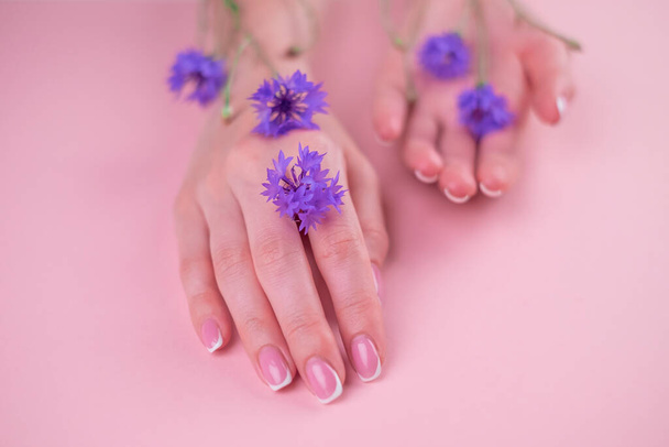 Photo of beautiful female hands with blue flowers, female body part isolated on a white background, day Spa, natural hand cosmetics, luxury beauty salon and Spa, manicure and massage concept - Photo, image