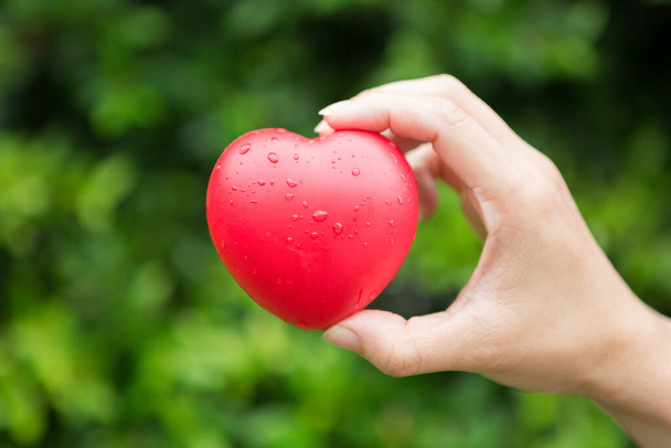 A woman with a heart shaped ball in her hand on natural blurred background and copy space - Foto, Imagen