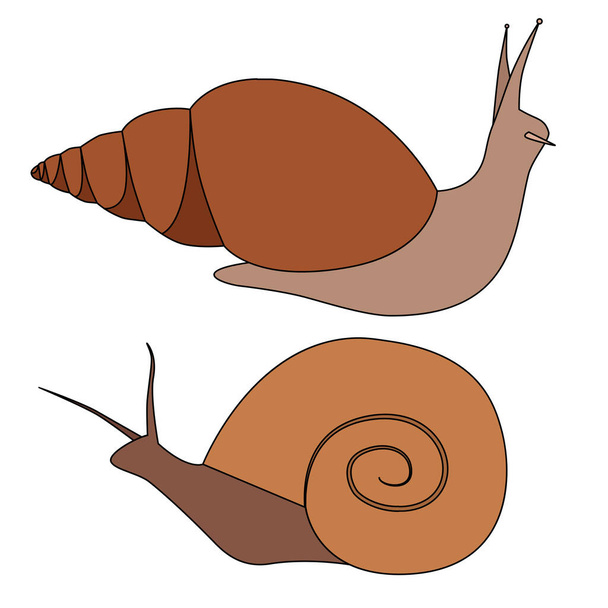Set of contour colored snails of various shapes. Objects are separate from the background. Simple cartoon vector image for logos, icons and your design. - Wektor, obraz