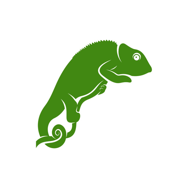 Chamäleon Logo Design Vektor. Symbolbild. Vorlagenillustration - Vektor, Bild