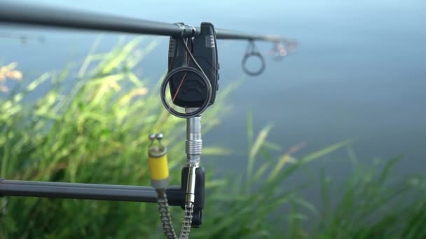 Carp fishing. Concept of carp fishing, pond, fishing rod stand - Materiaali, video