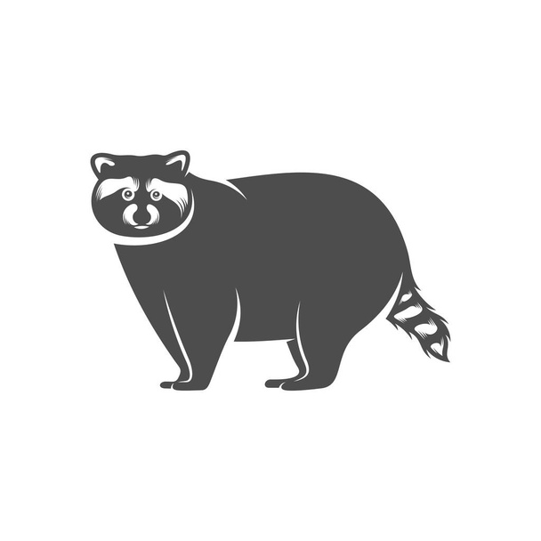 Racoon logo design vector. Símbolo de icono. Ilustración de plantilla
 - Vector, imagen