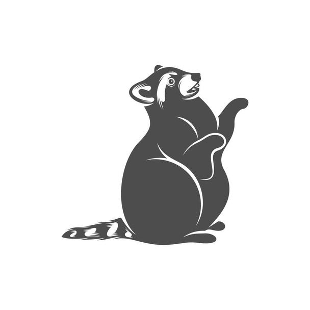 Racoon logo design vector. Símbolo de icono. Ilustración de plantilla
 - Vector, Imagen