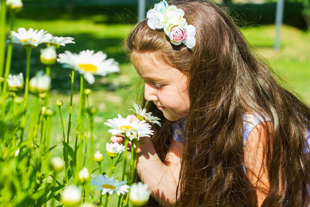 小さな女の子は花の香りを呼吸し、白い花のきれいな女の子 - 写真・画像