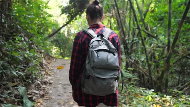 Sırt çantalı genç bir kadın yemyeşil tropikal ormanda yürüyor. - Video, Çekim
