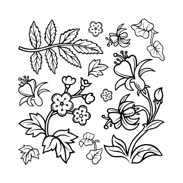 Hand drawn flowers and plants collection. Sketch drawing floral design elements. Flower ornament constructor. Part of set. - Vector, Image