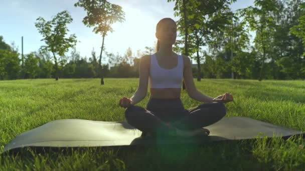 Mujer joven yoga al aire libre mantener la calma y medita mientras practica yoga para explorar la paz interior
. - Metraje, vídeo
