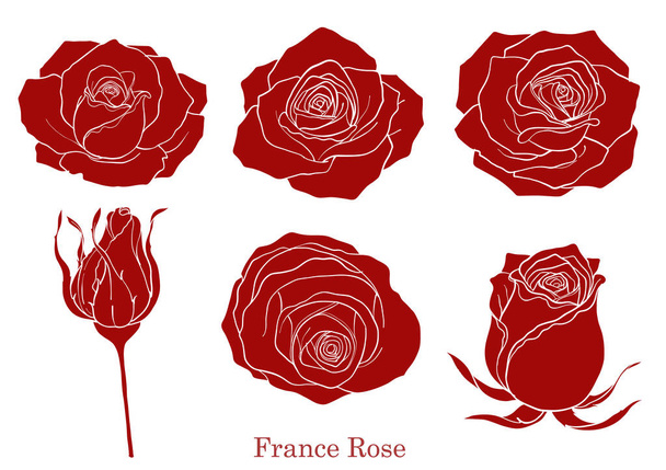 Rose Vector Lace By Hand Drawingbeautiful Stock Vector (Royalty