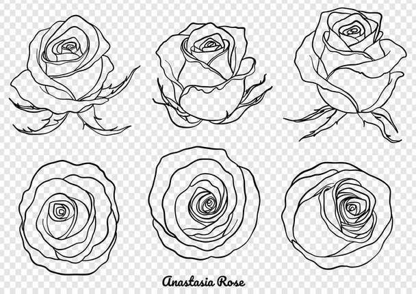 Rose Vektor von Hand gezeichnet.Schöne Blume auf weißem Background.Rose Art sehr detailliert in Linie Art-Stil - Vektor, Bild