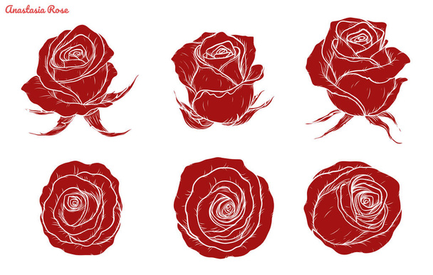 Rose vector met de hand tekenen.Mooie bloem op witte achtergrond.Rose kunst zeer gedetailleerd in lijn kunst stijl - Vector, afbeelding