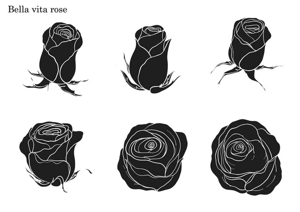 Вектор розы, задаваемый вручную рисунком.
 - Вектор,изображение