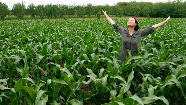 Een vrouw in een veld met uitgestrekte armen en haar hoofd omhoog met een glimlach en gesloten ogen. Een vrouwelijke boer geniet van haar succes. - Foto, afbeelding