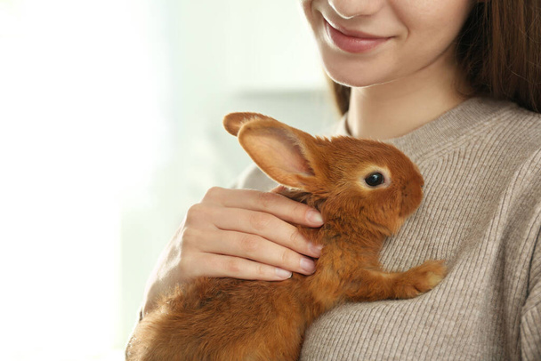 Young woman with adorable rabbit indoors, closeup. Lovely pet - Фото, зображення