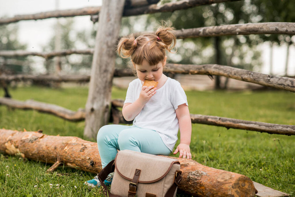 outdoor portrait of a girl sitting on the grass near the fence.Summer in the village. beautiful baby girl on a wooden bench.ecology and happy childhood. - Foto, Imagem