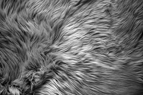 Marco completo seccional vista de cerca de una alfombra de pelo largo de imitación gris suave
 - Foto, Imagen