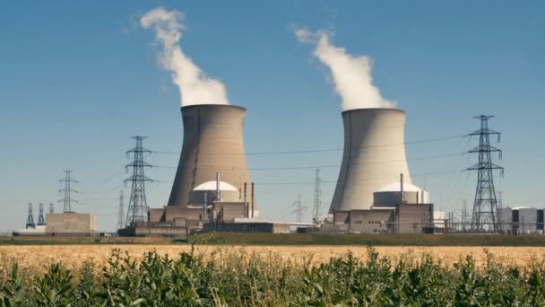 Jaderná elektrárna Doel je jednou ze dvou jaderných elektráren v Belgii. Zařízení obsahuje 4 reaktory. Lokalita se nachází na břehu řeky Scheldt, v blízkosti vesnice Doel ve Vlámské provincii Východní Flandry, na okraji města Antverpy. Stanici provozuje a většinově vlastní vertikálně integrovaná francouzská energetická společnost Engie SA prostřednictvím své 100% belgické dceřiné společnosti Electrabel. EDF Luminus má 10,2% podíl ve dvou nejnovějších jednotkách. Závod Doel zaměstnává 963 pracovníků a rozkládá se na ploše 80 hektarů (200 akrů). Zařízení představuje přibližně 15% celkové kapacity Belgie v oblasti výroby elektřiny a 30% celkové výroby elektřiny. Jaderná energie obvykle zásobuje polovinu domácí elektřiny v Belgii a je nejlevnějším zdrojem energie v zemi. - Záběry, video