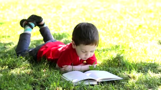 Çocuk çimlerin üzerinde uzanıyor ve bir kitap okuyor. Ders dışı okumalar. Çevrimdışı eğitim. - Video, Çekim