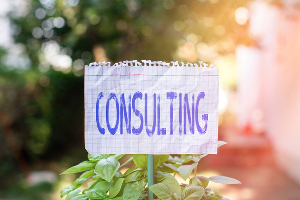 Handwriting text Consulting. Concept meaning engaged in giving expert advice to experts or technicians Plain empty paper attached to a stick and placed in the green leafy plants. - Photo, Image