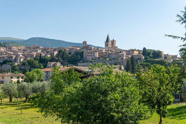 Panorama kraju prowincji spello Perugia w słoneczny letni dzień - Zdjęcie, obraz