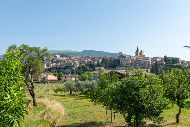 Panorama kraju prowincji spello Perugia w słoneczny letni dzień - Zdjęcie, obraz