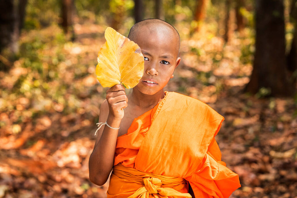 Nováčci se usmívají a drží listy stromu. Mladí buddhističtí nováčci v lese ve starém chrámu při západu slunce. Thajsko. Selektivní zaměření - Fotografie, Obrázek
