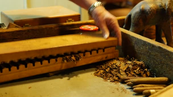filmagem de close-up de cigarros cubanos fabricação - Filmagem, Vídeo