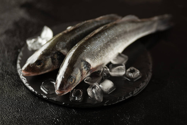 Labrax fresco sobre hielo, pescado crudo. Proteínas y omega 3
. - Foto, Imagen