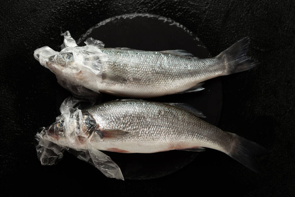 Dead fish and ocean pollution, plastic bag in environment. Sea wild life, ecosystem hazard. - Foto, Imagen