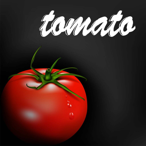 Red tomato. Ripe vegetable on a dark background. Organic, ecological food. Realistic illustration. Stock vector. - Vettoriali, immagini