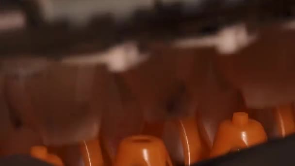 close-up footage of egg factory on chicken farm - Video, Çekim