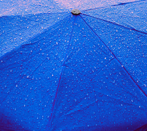 Regendruppels op een blauwe paraplu - Foto, afbeelding